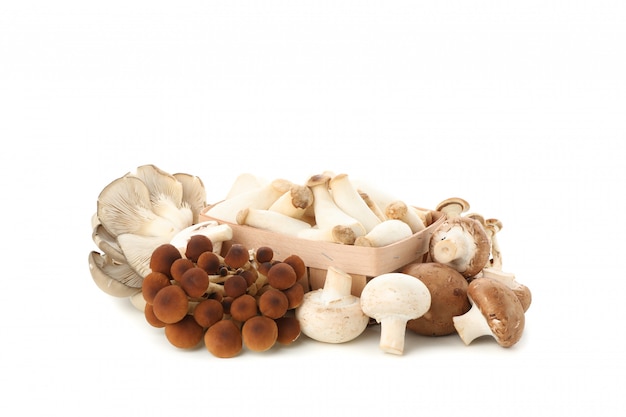 Different mushrooms and container isolated on white