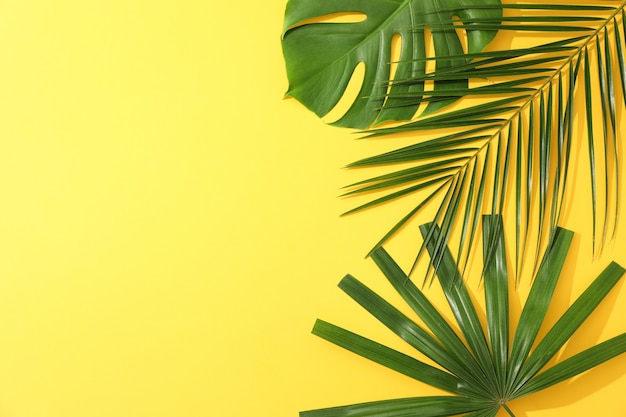 Different palm leaves on yellow table