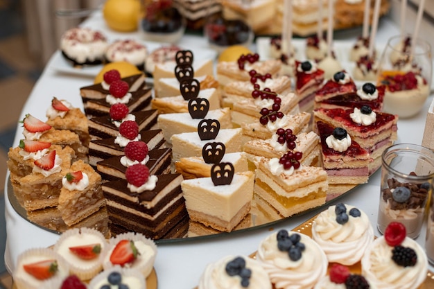 Different pieces of birthday cakes with berries and chocolate standing on tray surrounded by cupcakes and on anniversary catering in luxury catering service