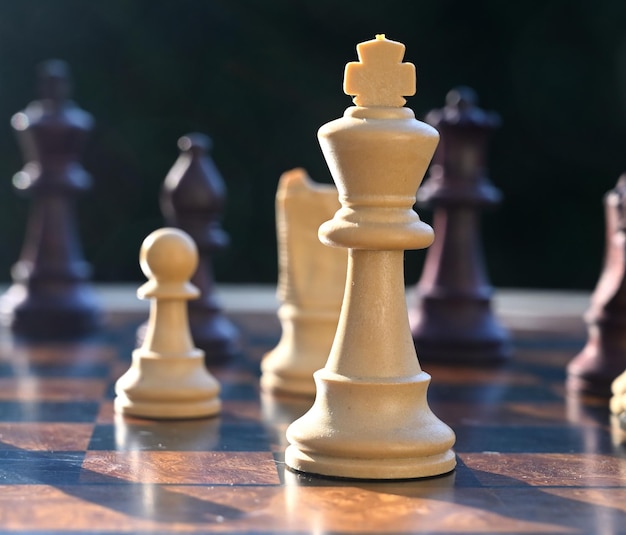 Different pieces on a wooden chess board