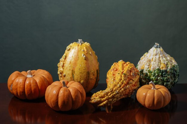 different pumpkins for halloween decor. Still life on a dark background.