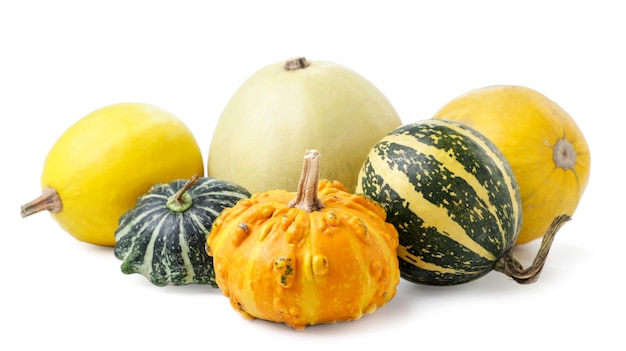 Different pumpkins on a white background Isolated