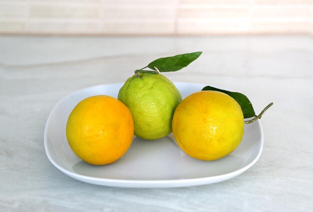 Different refreshing citrus fruits cocktail ingredients on a dark wooden background fruit set