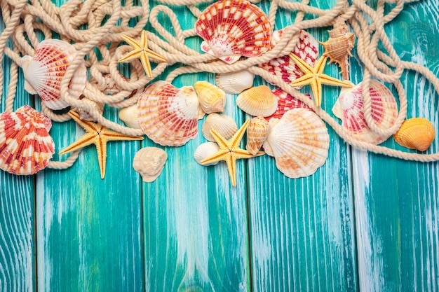 Different sea shells on color wooden background