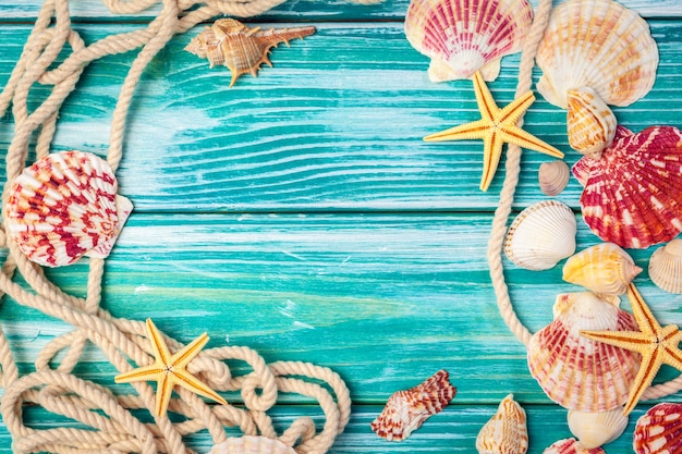 Different sea shells frame on wooden background