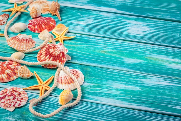 Различные морские раковины на цвет деревянных фоне