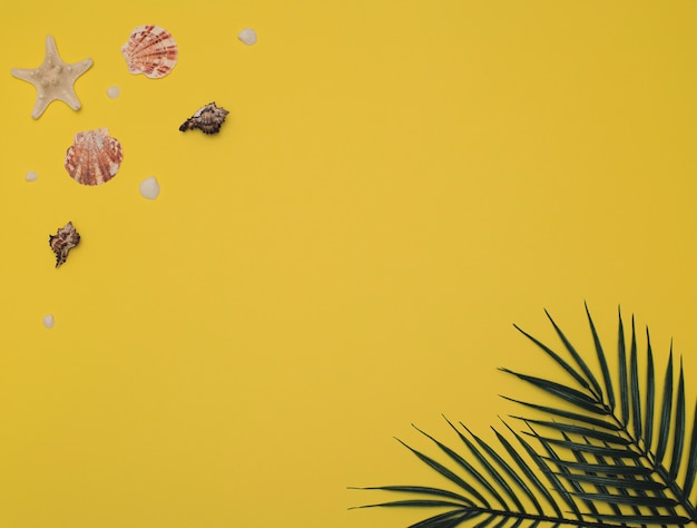 Photo different sea shells and starfish with palm leaves on bright yellow background summer time