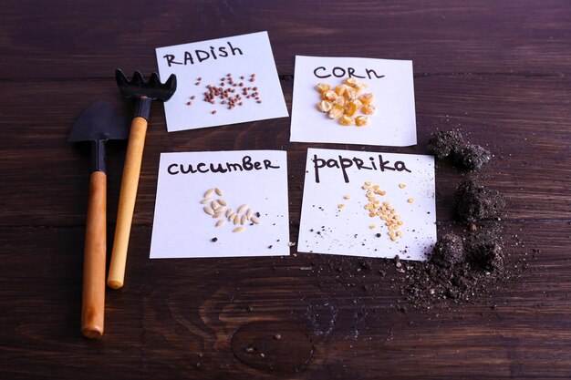 Different seeds on pieces of paper with ground and gardening tools on wooden background