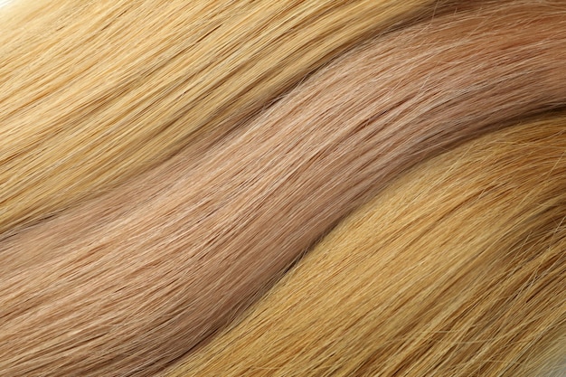 Capelli femminili di diverse tonalità su tutto lo sfondo