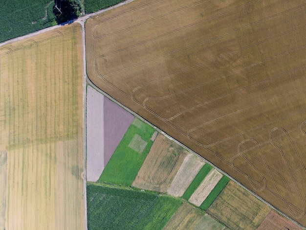 Different in size agricultural land top view of geometric shapes from crops