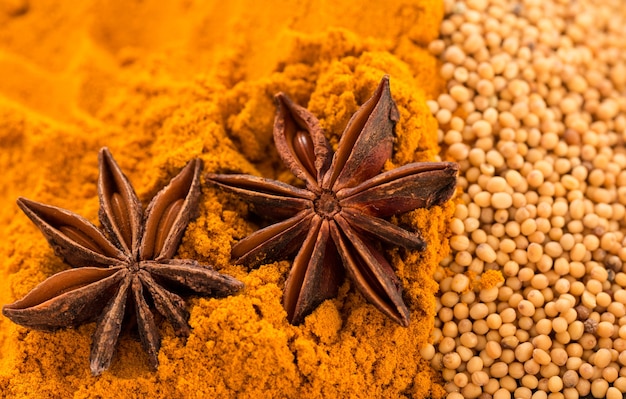 Different spices Star anise mustard seeds and turmeric powder Macro