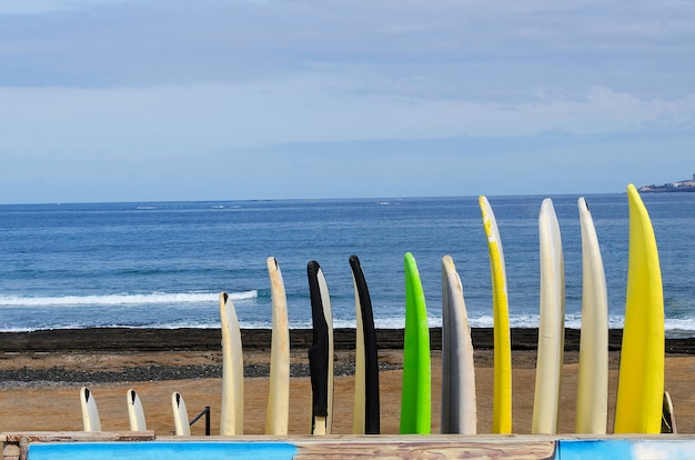 Different Surfbords and longbords behind the blue ocean for enjoy the surf. Active summer vacation background. Copy space.