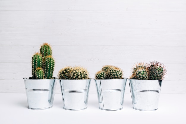 Different type of succulent plant plots on white desk