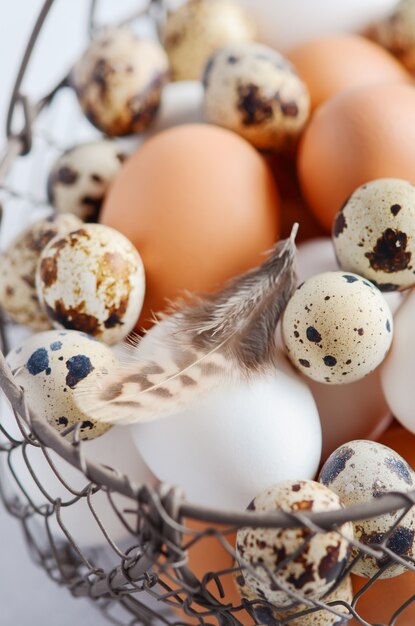 Different types of eggs in a basket