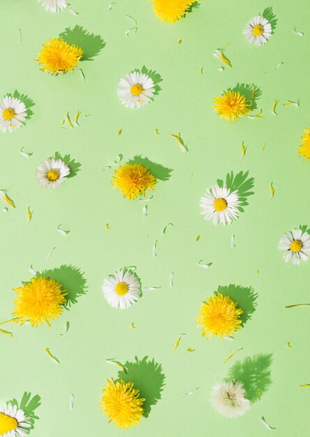 Different types of flowers arranged as a pattern. yellow and\
white flowers on a green background.. international women\'s day\
concept. minimal flay lay.