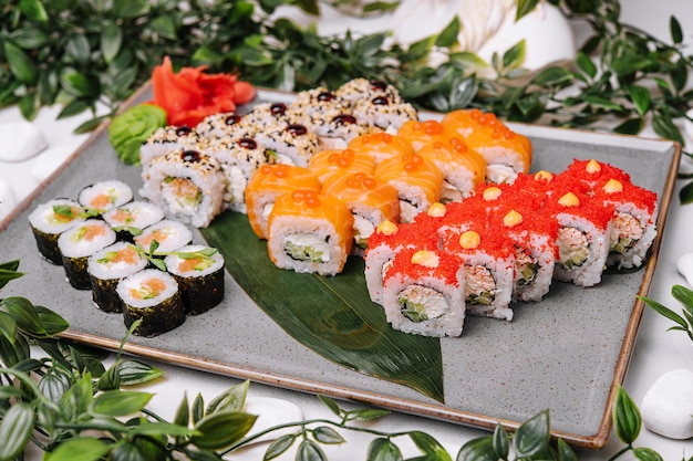 Different types of Japanese sushi on plate