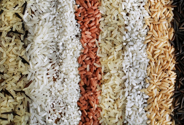 Photo different types of rice close up