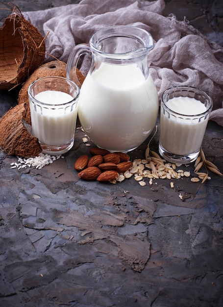 Different types of vegan lactose-free milk