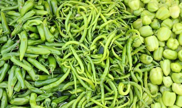 Different varieties of green peppers