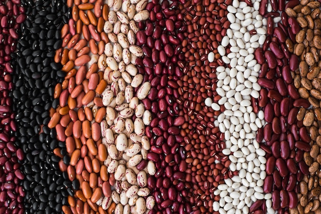 写真 さまざまな豆の種。豆の背景。