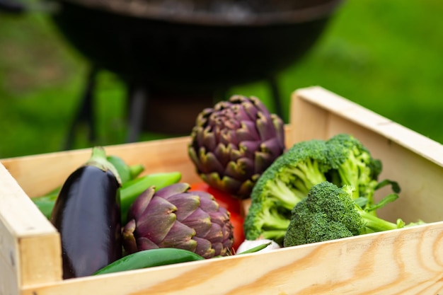 Different whole raw vegetables for grilling on the background of a blurred barbecue grill and green grass Daylight