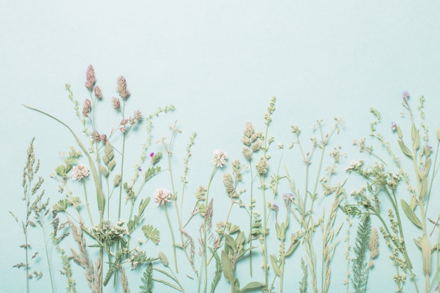 紙の背景に異なる野生の花