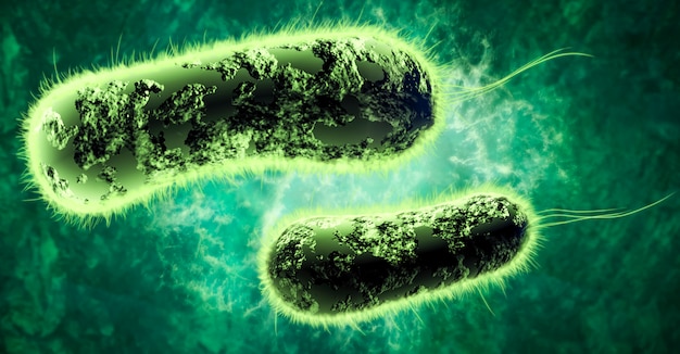 Фото Цифровая 3d иллюстрация бактерий