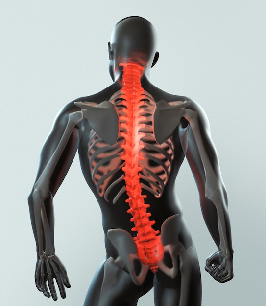 Digital composite image of human skeleton with backache against gray background