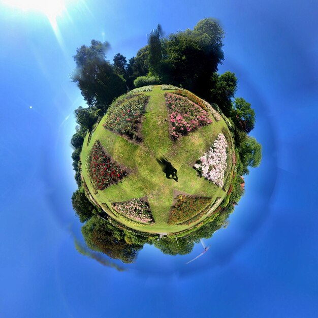 Foto immagine composita digitale di alberi contro il cielo blu