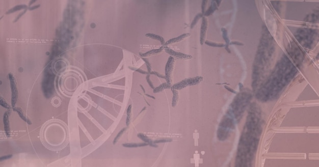 Digital illustration of micro chromosomes cells with a dna\
strain on a pink background