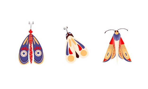 Digital illustration with a set of cute moths butterflies and insects isolated elements