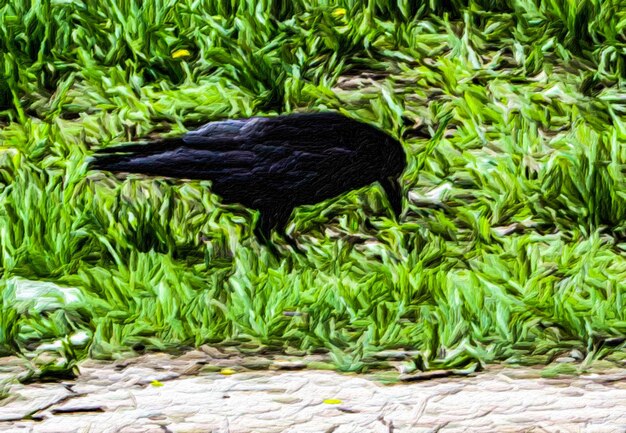 digital painting of black raven in the style of handdrawn oil painting on canvas creative design element
