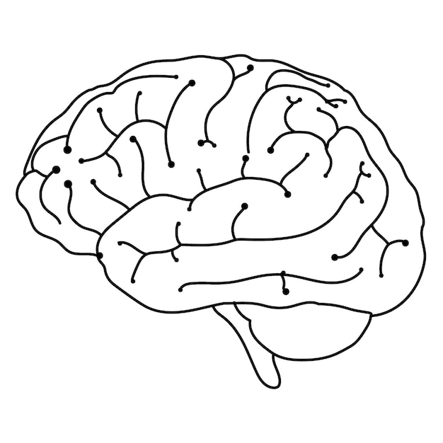 Digitale hersenen png sticker neurowetenschap transparante achtergrond