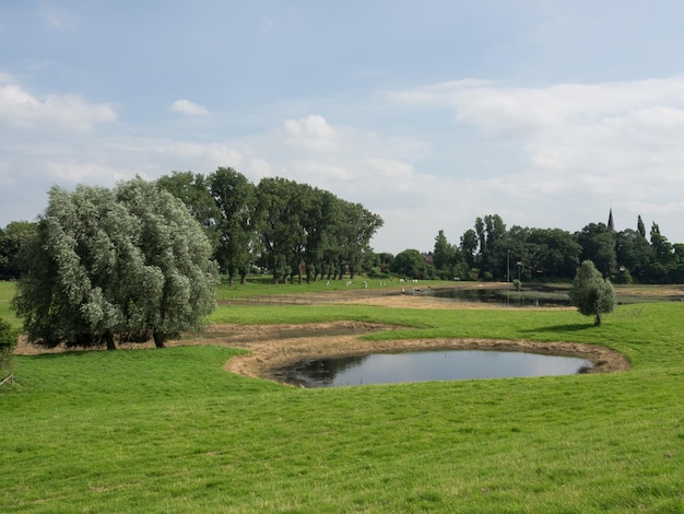 dijk bij de Rijn