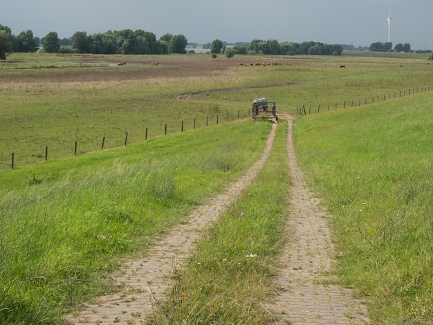 dike at the rhine