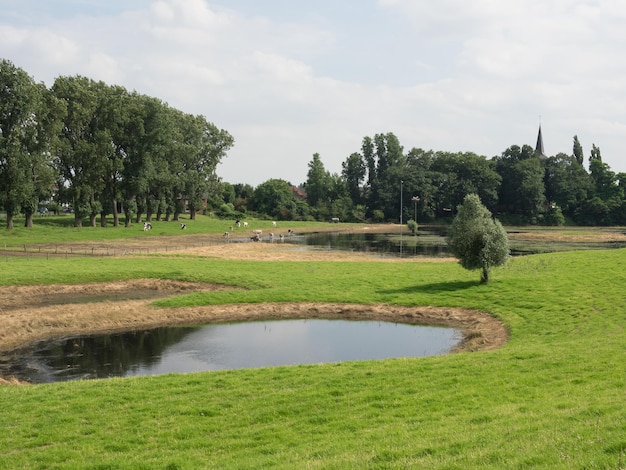 dike at the rhine