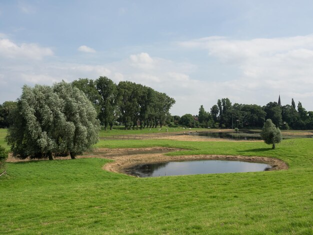 dike at the rhine