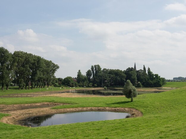 dike at the rhine