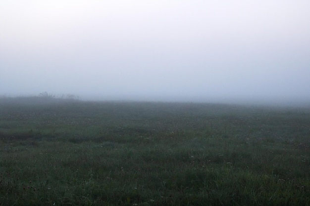 Dikke mist in het veld bij zonsopgang