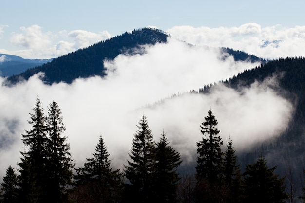 Dikke witte mist tussen bergtoppen