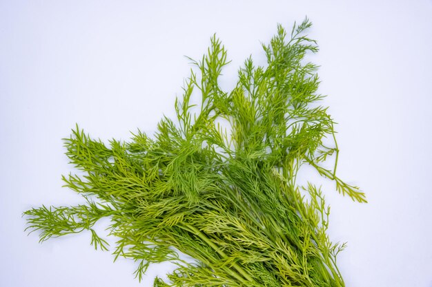 Dill bladeren aka Saunf blad groente in witte achtergrond geïsoleerd