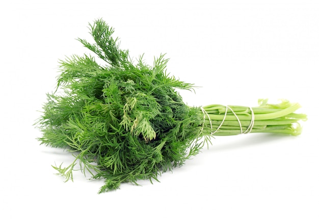 dill branch