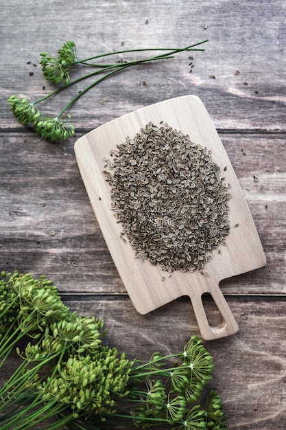 Dill seeds and flowers Anethum graveolens on wooden background overhead flat lay vertical frame