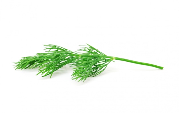 Dill on white isolated