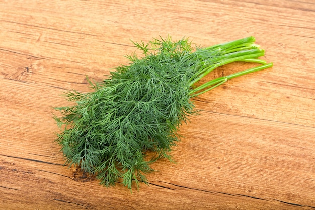 Dill