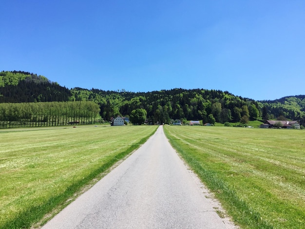 澄んだ青い空に照らされた緑の風景の中の空の道路の減少する視点