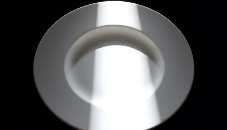 Photo dinner plate isolated with white highlights