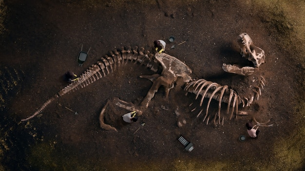 Photo dinosaur fossil (tyrannosaurus rex) found by archaeologists