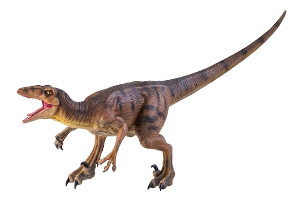 Photo dinosaur velociraptor isolated background