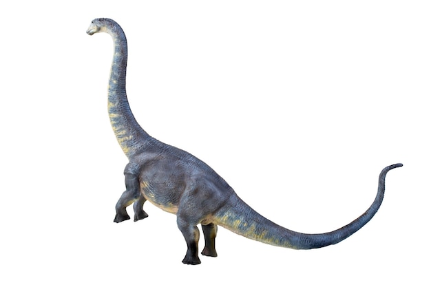 dinosaurus Brontosaurus geïsoleerde achtergrond